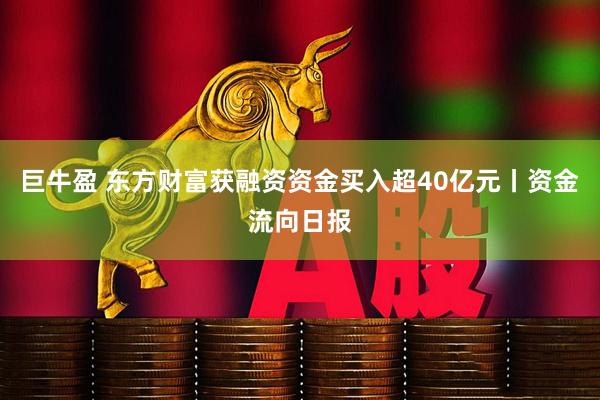 巨牛盈 东方财富获融资资金买入超40亿元丨资金流向日报